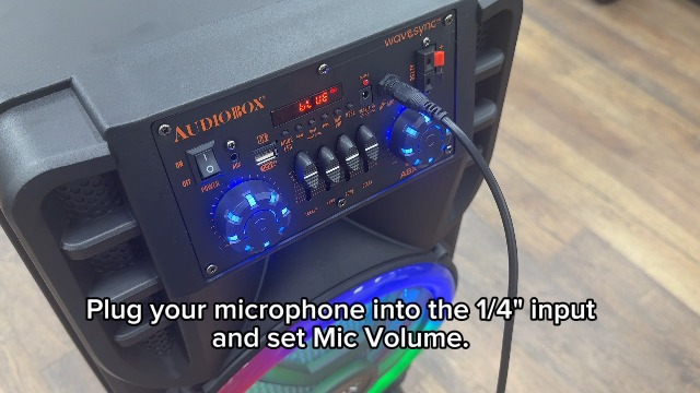 Amazon.com: Audiobox ABX-214R Dual 12